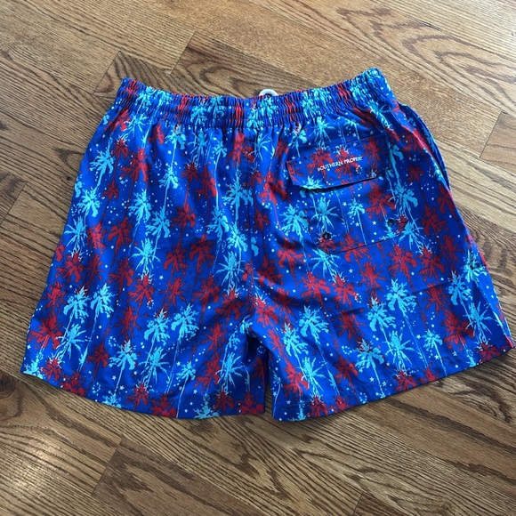 Men’s Southern Proper Swimming Trunks. Size Large. Excellent Condition. - Picture 8 of 8